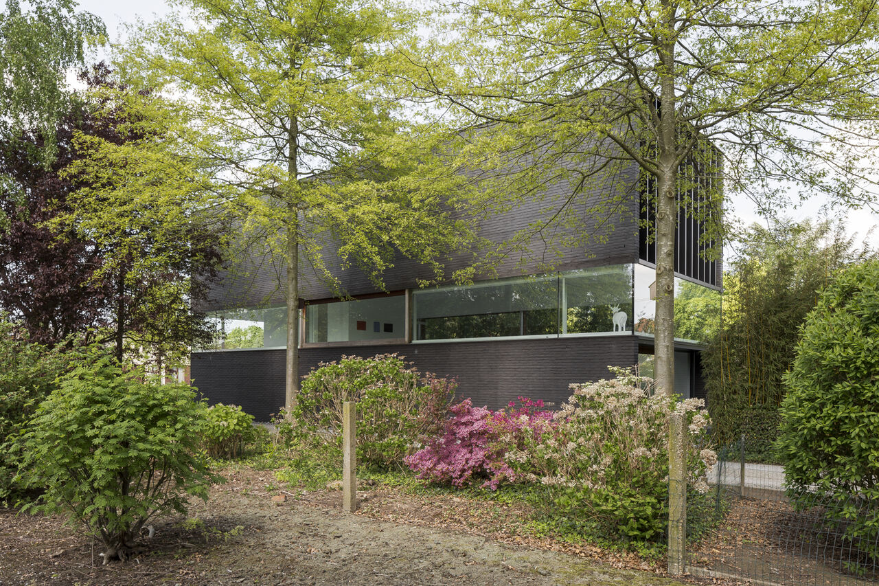 Aw Drongen 030518 33 Of 37